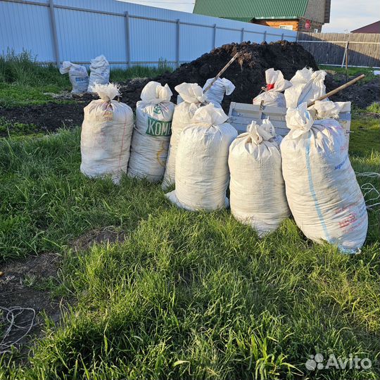 Конский навоз