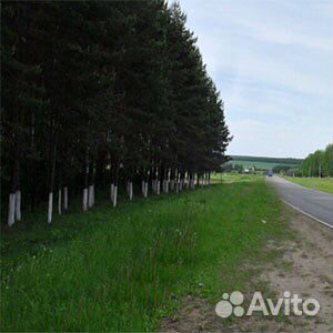 Травосмесь Дорожная