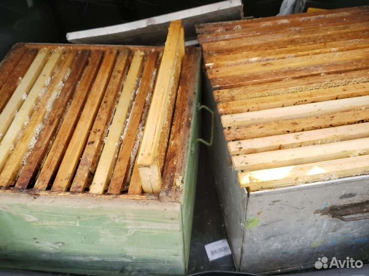 Сушь для пчел