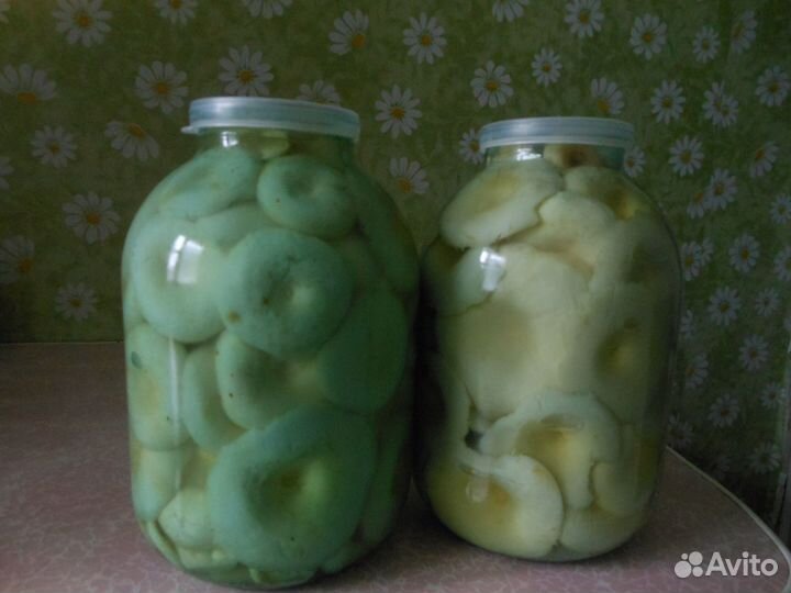 Грибы грузди соленые