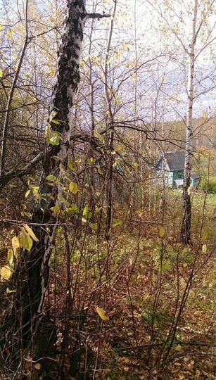 Участок 6 сот. (СНТ, ДНП)