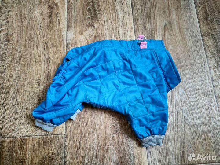 Одежда для собак