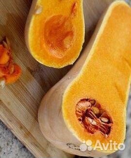 Семена Тыквы разной