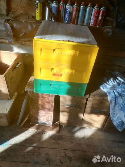 Улей для пчел ППУ