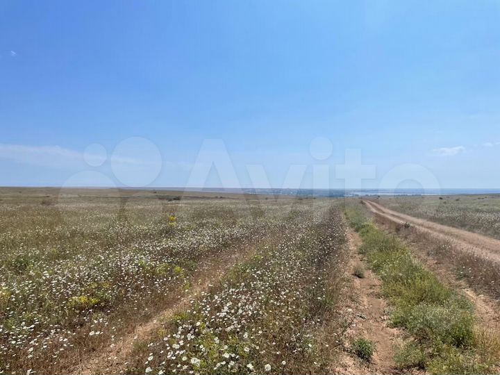 Участок 2,5 га (СНТ, ДНП)