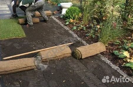 Газон рулонный гарантия