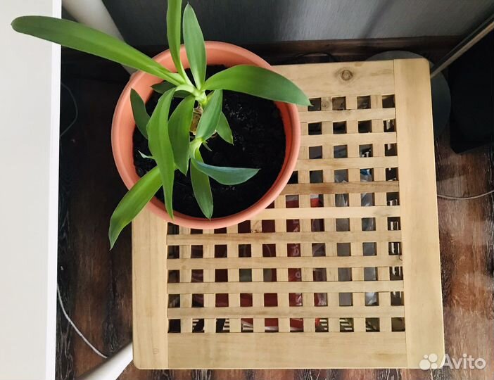 Журнальный столик-ящик IKEA hol