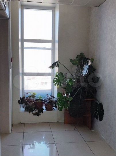 Офисы 15, 25, 30, 50, 250 м²