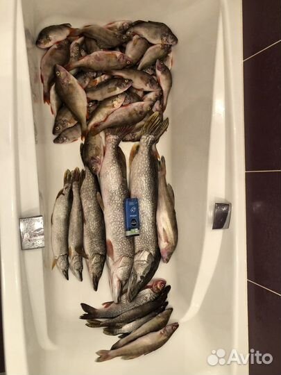 Рыболовная суперснасть «Балда V2.0». Оранж, Желтая