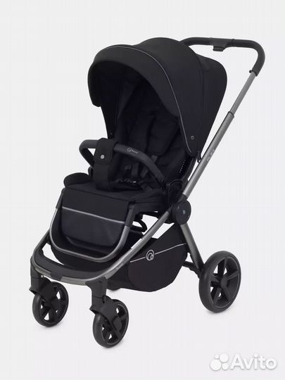 Прогулочная коляска Rant Flex Pro