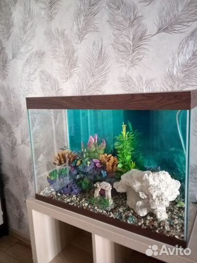 Аквариум 100 литров