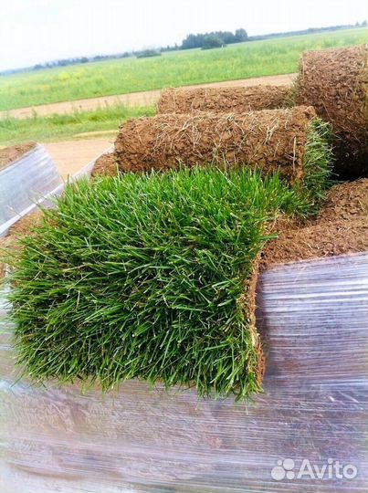 Газон рулонный гарантия от производителя