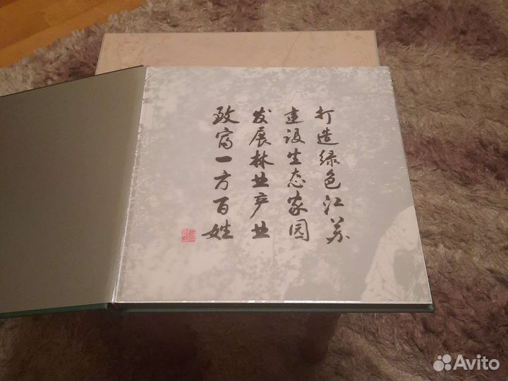 Книга из Китая