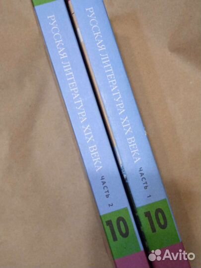 Русская литература XIX века 10 класс