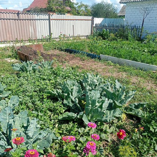 Дача 24 м² на участке 4,5 сот.