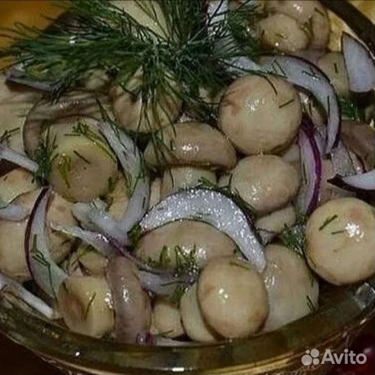 Грибы маринованные