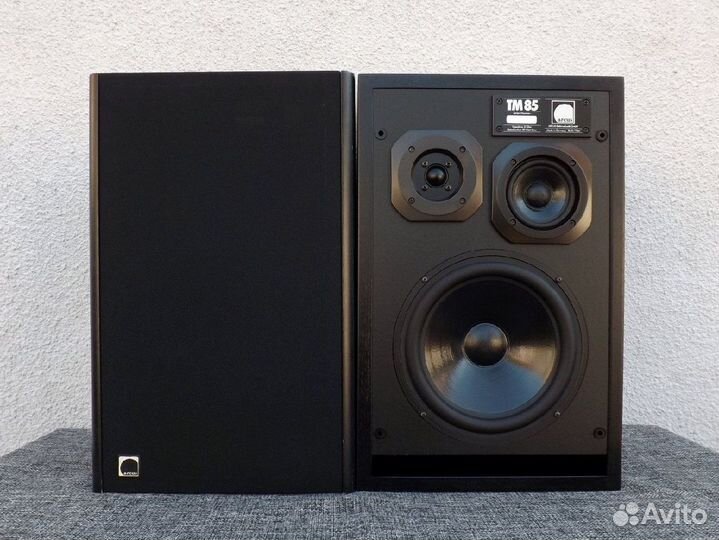 Мониторы Arcus T-85