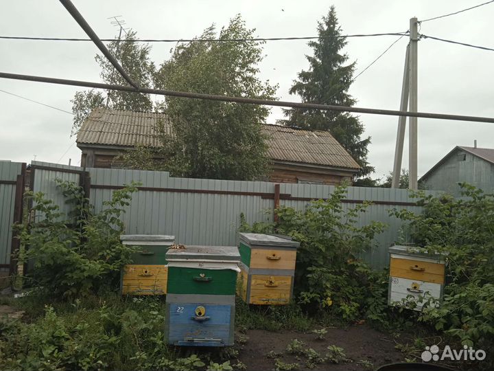 Улей для пчел
