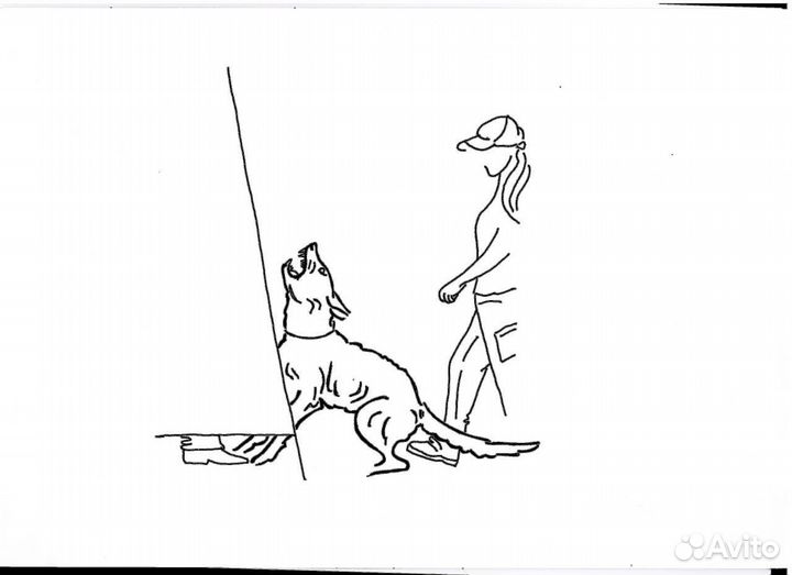 Usb флешка 64 гб + гравировка + переходник