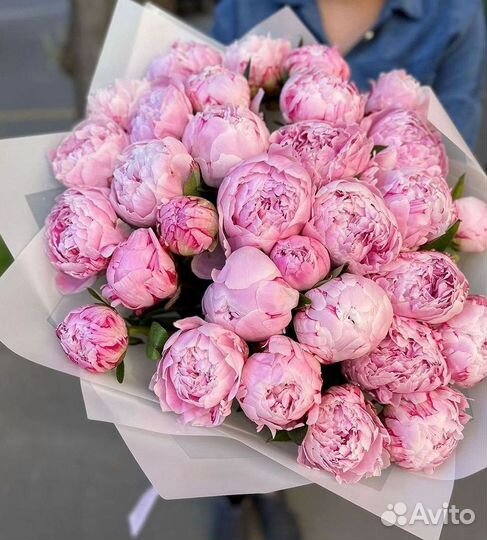 Пионы Букет пионов Доставка цветов