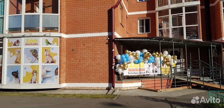 Рыбка петушок