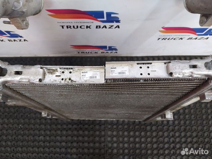 Интеркулер Daf XF105
