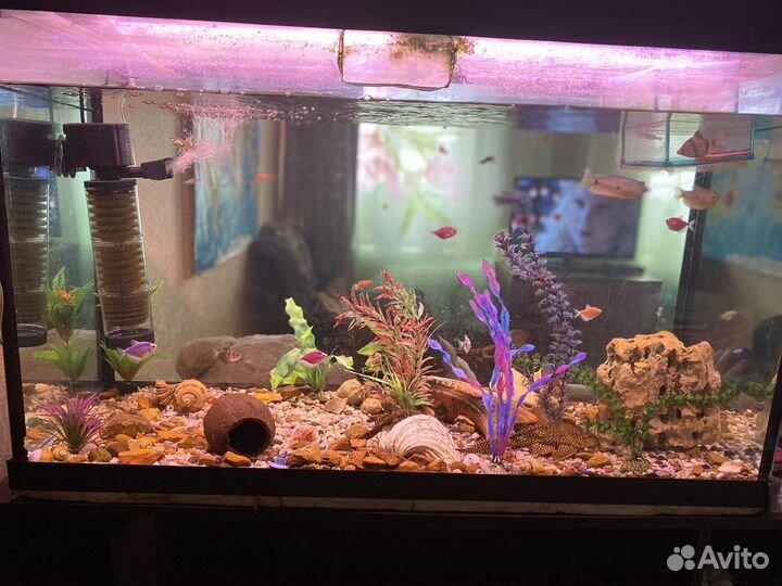 Аквариум