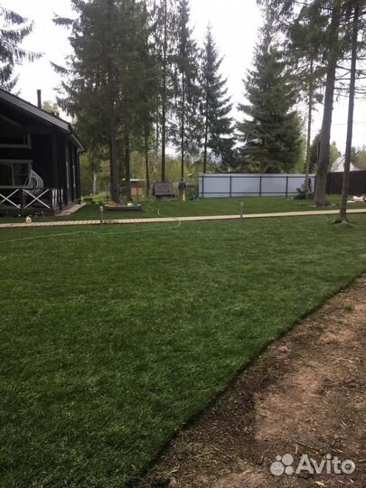 Укладка газона стандарт