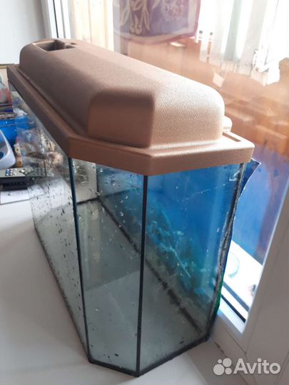 Аквариум