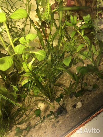 Песок грунт для аквариума