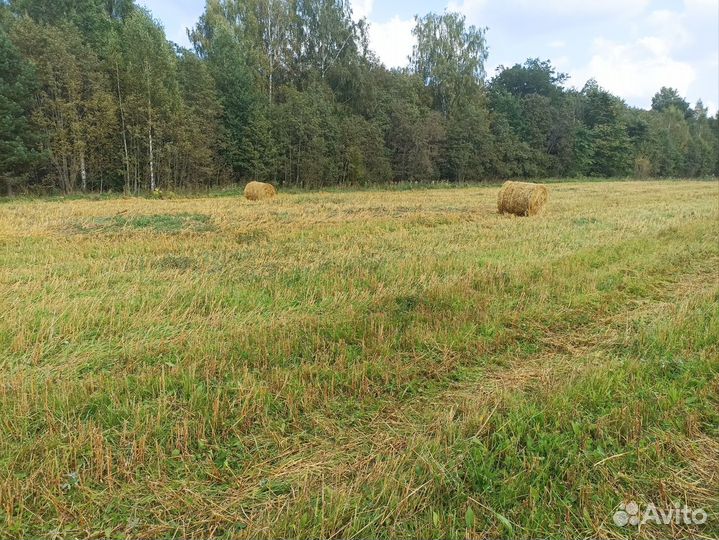 Солома в рулонах