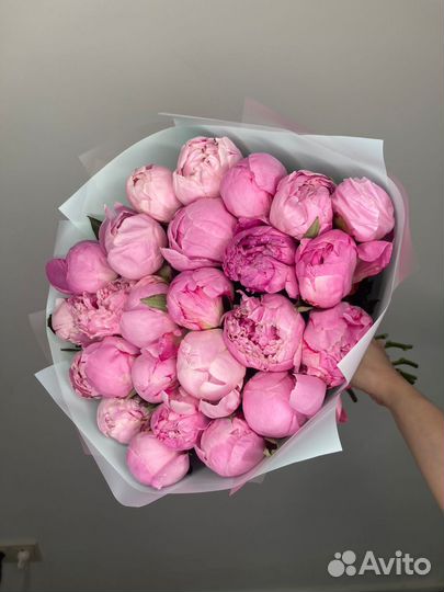 Цветы пионы