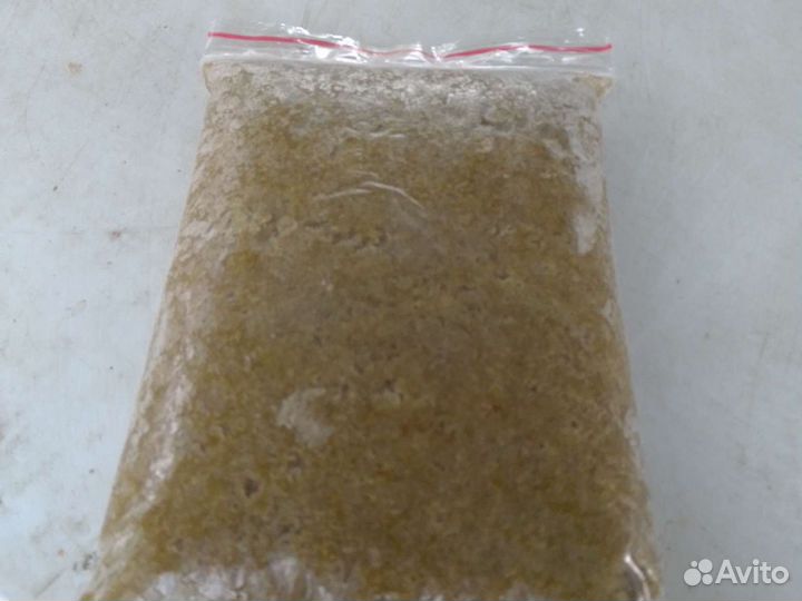 Мотыль,стрептоцифал,артемия,циклоп,коретра,дафния