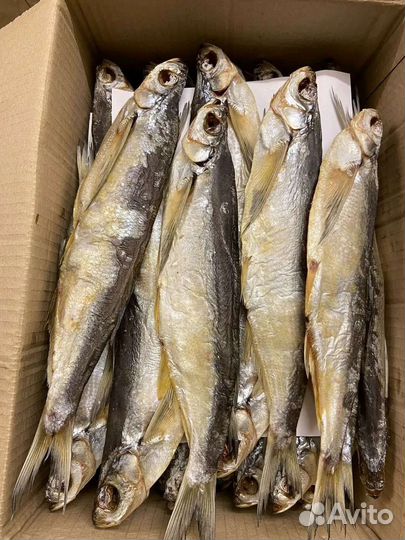 Вяленая чехонь