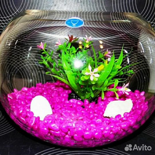 Новые аквариумы круглые, бокалы