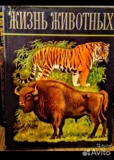 Энциклопедический словарь