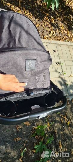 Коляска coletto