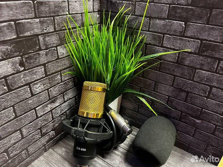 Микрофон bm800