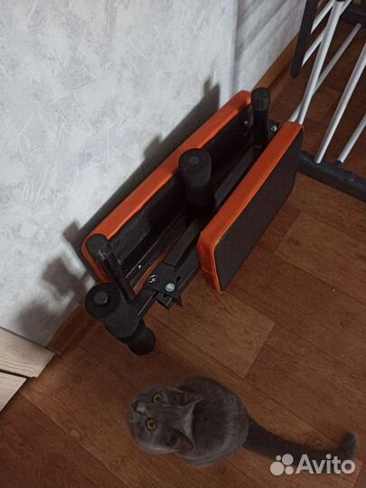 Скамья для жима и пресса