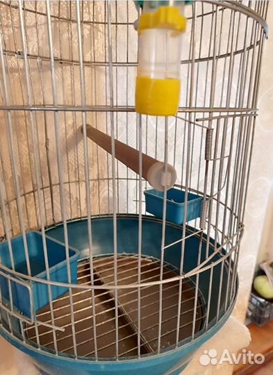Клетка для среднего попугая