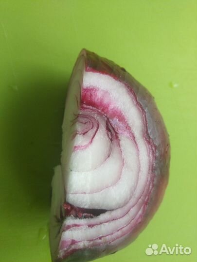 Семена ялтинского лука