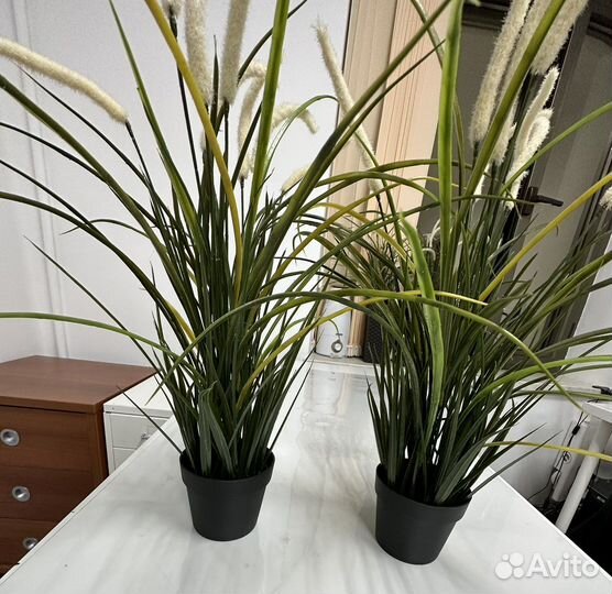 Искусственное растение икеа фейка