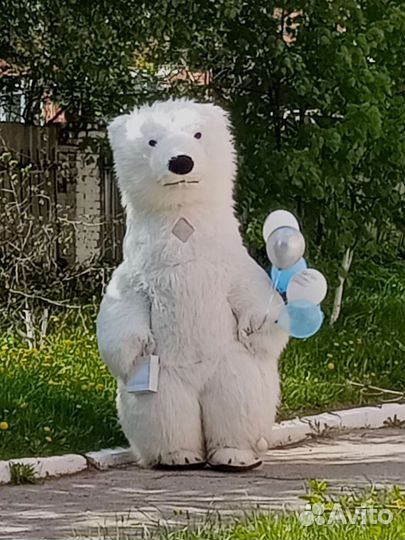 Белый мишка поздравление
