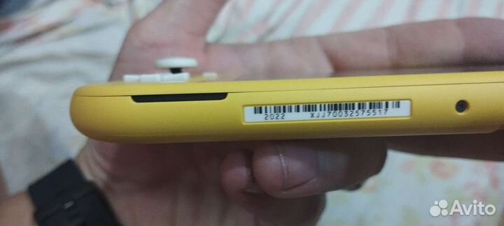Nintendo switch lite