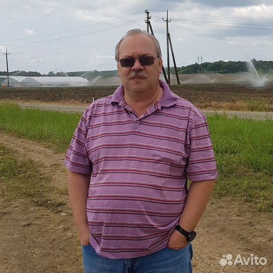 Антикризисное управление, бизнес- консалтинг