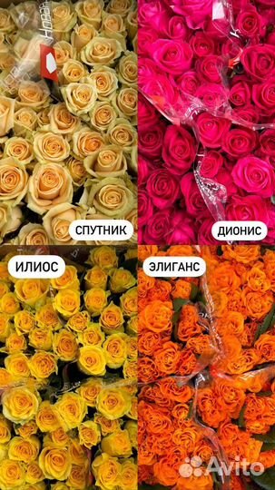 Оптовые розы качество Сочи