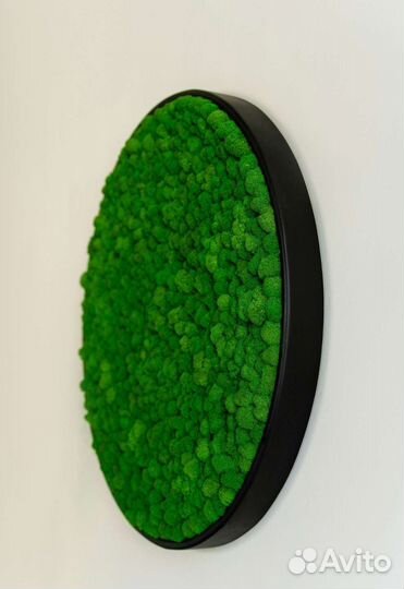 Круглая картина из стабилизированного мха