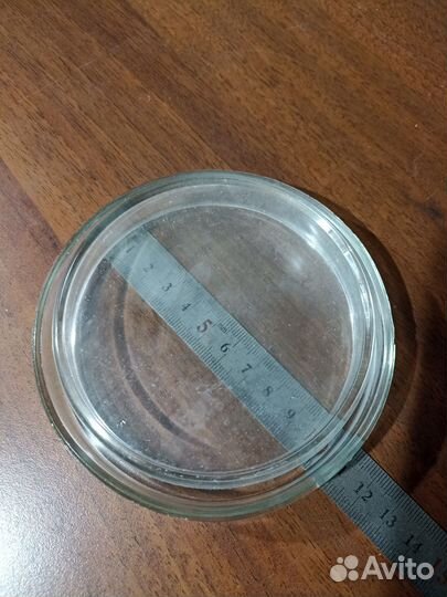 Чашка Петри