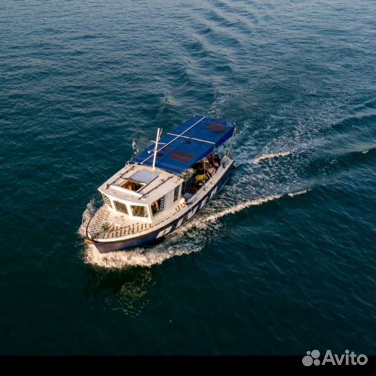 Прогулки на катере, рыбалка