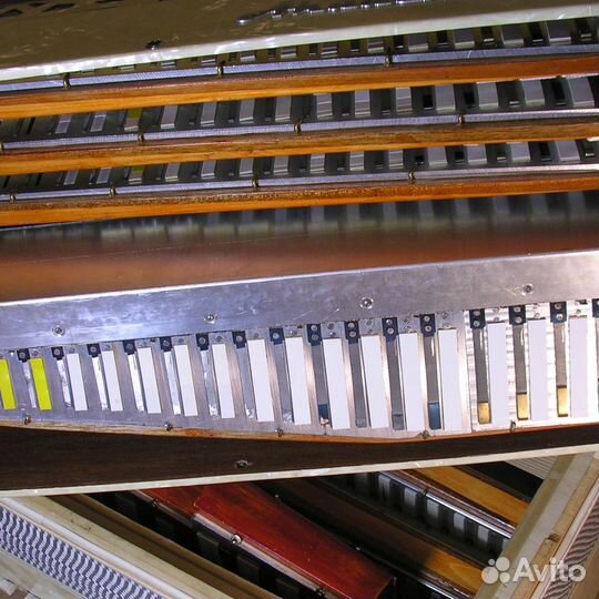 Готововыборный баян Академа